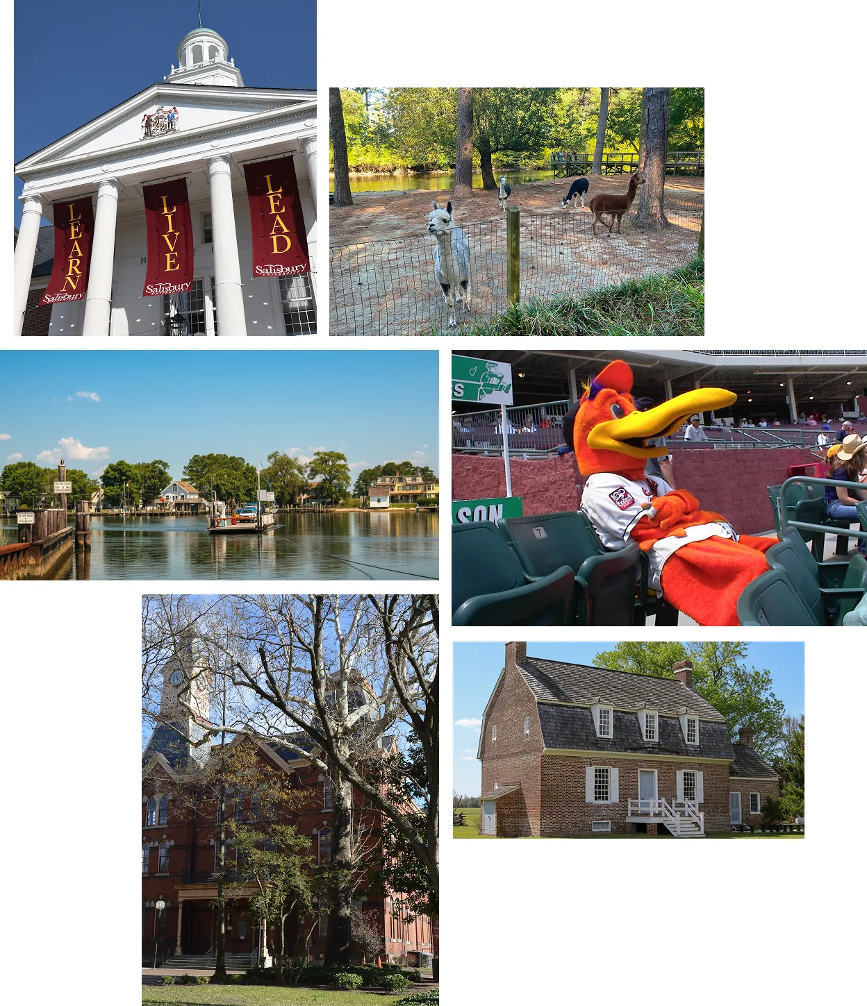 The Neighborhood
